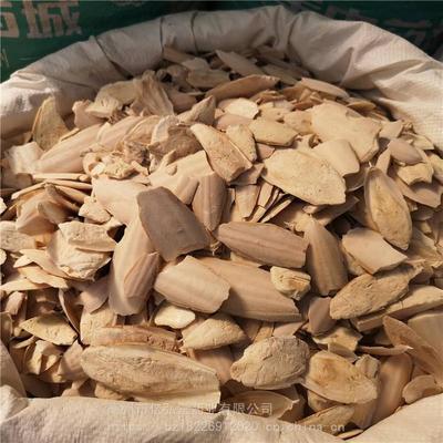 中藥材海螵蛸價(jià)格走勢(shì)及市場(chǎng)分析 | 烏賊骨一公斤多少錢？